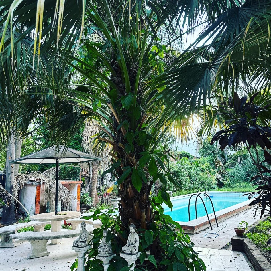 CASA EN ALQUILER