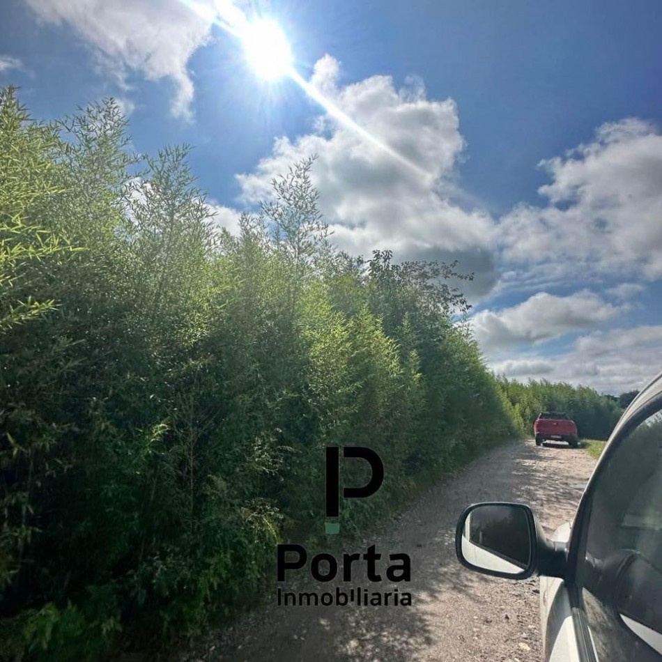 VENTA | CAMPO