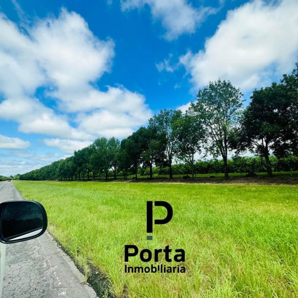 VENTA | CAMPO