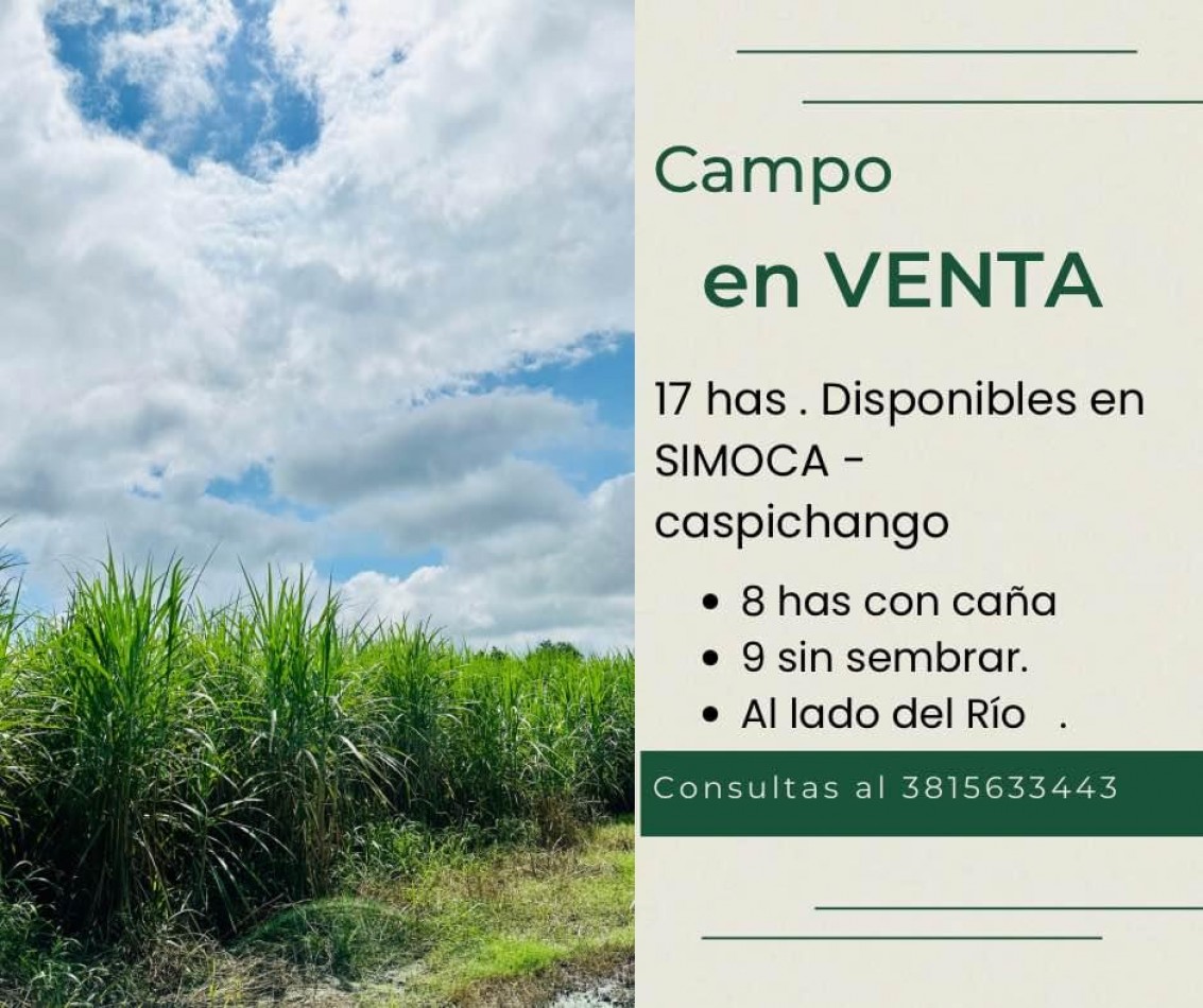 VENTA | CAMPO